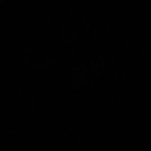 Meet your Posher, Eliana